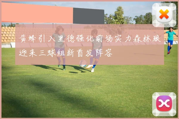 黄蜂引入里德强化前场实力森林狼迎来三球组新首发阵容